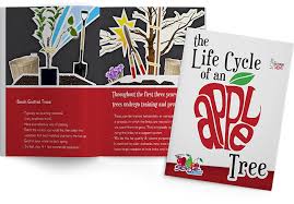 Next you will need to do a tree count and multiply that number by the average height and diameter of the one tree. The Life Cycle Of An Apple Tree The Produce Moms