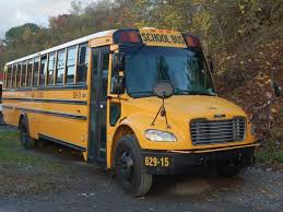 Image result for School Bus Yellow 2009 Fleet