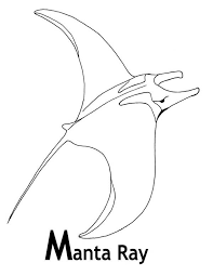 Easy manta ray coloring page print. M Is For Manta Ray Coloring Pages Coloring Sun Manta Ray Superhero Coloring Pages Mermaid Coloring Pages