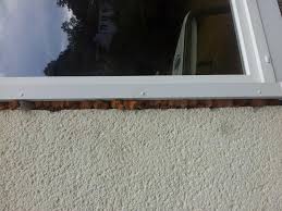 Ist die fassade schon fertiggestellt? Fenster Aussen Verputzen