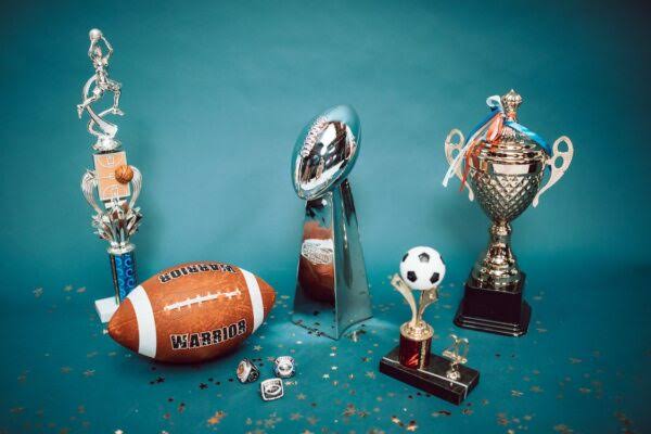 Sports achievements