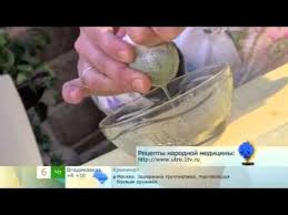 как сделать лекарство из алоэ и меда для желудка Aloe S Medom Naturalnoe Lekarstvo Dlya Zdorovya I Krasoty Aloe S Medom Primenenie Lechenie Protivopokazaniya Recepty Nastojka Aloe S Medom Aloe Med Zdorove