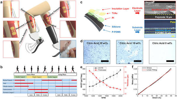 Schematic illustration of the flexible and stretchable sEMG sensors... | Download Scientific Diagram