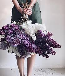 Find villa holidays, apartments, cottages and other holiday homes in 150+ countries. Food Styling Tips Foodjournaltips Topspringgardeningtips Lilac Flowers Lilac Flowers Bouquet