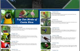 Pin By Jessica Lilley On Wanderlust Blue Crown Quetzal Number One