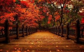 While artwork, piece size, and. Autumn Puzzle For Android Apk Download