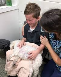 family says goodbye to senior dog