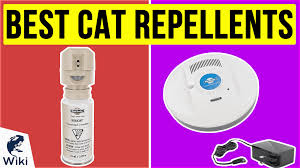 Top 10 Cat Repellents Of 2020 Video Review