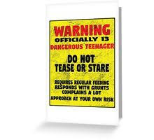Happy Birthday Card For 13 Year Old Boy 13th Birthday Warning Officially 13 Dangerous Teenager Greeting Card By Kudostees Old Birthday Cards Girl Birthday Cards Birthday Cards For Boys