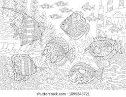 My adult coloring pages include flowers, animals and geometrics. Ocean Fish Coloring Pages Coloring Pages Name Public