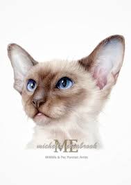 Who would love a drawing of your Siamese Cat :) ?!