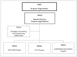 Pmo Organisational Chart European Security Defence