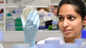 How Much Money Do Different Types Of Scientists Actually Make? - Business  Insider
