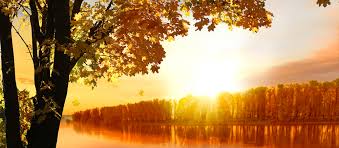 Obituary of Michael Dale Johnson