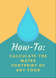 Image result for water