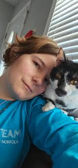 Lost Cat: Black Neutered Male in Worcester, Massachusetts