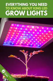 Educational research & education tips & tricks. Pin On Gardening Ideas Tips And Tricks