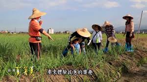 travel business model and team at yilan county sanxing township yilan county business travel good things