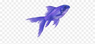 fish colorful tumblr vaporwave aesthetic purple fish png free transparent png clipart images download fish colorful tumblr vaporwave
