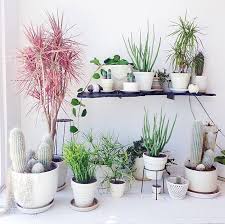 Adding an indoor garden to your home is much easier than you thought. 9 Gorgeous Ways To Decorate With Plants Melyssa Griffin