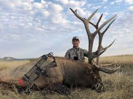 The deadline for applying for a wyoming elk tag is january 31, earlier than most other western states. 9 Expert Tips For Hunting Elk On Public Land