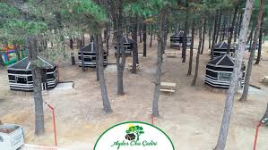 Aydos orman park'ta kene sorunu! Aydos Oba Cadiri Home Facebook