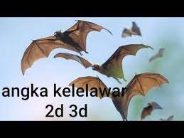Check spelling or type a new query. Angka Mimpi Kodealam Kelelawar 2d 3d Misteriangka Erek2 Youtube