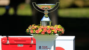 Find out how in this article. Fedex Cup Playoffs Explained Updated Standings Points Format More To Know About Golf S 2021 Championship Sporting News