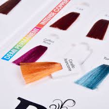 Detachable Paper Clip Salon Hair Colour Chart