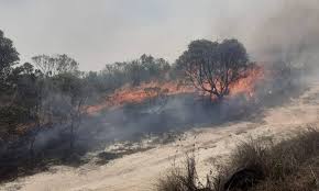 Encontre imóveis para venda em rua com o melhor preço. Incendio Atinge Parque Estadual De Ibitipoca Em Minas Gerais Jornal O Globo