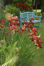 Shepherd House Scotland S Gardens Jardineria En Macetas Jardines Jardines Bonitos