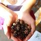 Foraging for Kids in Fall (8 and up) event image