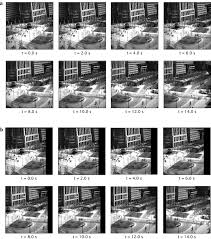 List of mobiles with 2048 x 1536 pixels (qxga) screen resolution mobiles, tablets available in market 2021, mobile phone full. Real Time High Resolution Video Stabilization Using High Frame Rate Jitter Sensing Robomech Journal Full Text
