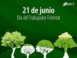 Este año se celebra del 14 de junio al 20 de junio de 2021. 21 De Junio Cuba Festeja El Dia Del Trabajador Forestal