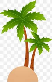 Download 39,531 coconut picture tree stock illustrations, vectors & clipart for free or amazingly low rates! Vector Coconut Tree Images Vector Coconut Tree Transparent Png Free Download