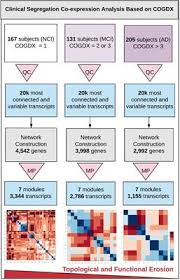 Find this pin and more on sue kalergis by arianwen morgana. Frontiers Erosion Of Gene Co Expression Networks Reveal Deregulation Of Immune System Processes In Late Onset Alzheimer S Disease Neuroscience