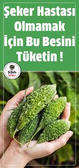 Seker Hastasi Olmamak Icin Bu Besini Mutlaka Tuketin Faydalari Binbir Derde Deva Tropikal Bir Meyve Olan Kudret Narini P Saglikli Dogal Saglik Saglikli Yasam