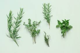 Comment Cuisiner Les Herbes Aromatiques Menthe Estragon Basilic Herbes Aromatiques Aromates Pesto Basilic