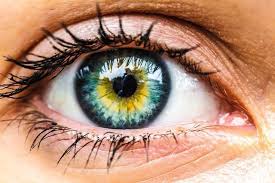 Lila ist eine schöne farbe, die zum träumen verleitet. Menschen Augen Menschen Augen Zeichnen Menschen Augen Zitate Menschen Augen Fotografie Augen Fotografie Augen Zeichnen Schone Augen