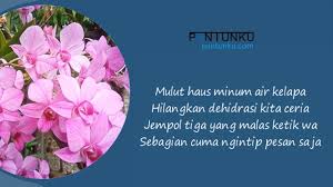 We did not find results for: 25 Pantun Untuk Grup Whatsapp Lucu Unik Bisa Share Ke Grup Pantun