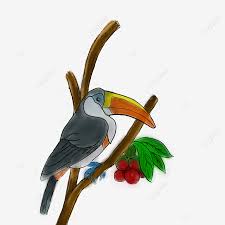 Pokok bemban saintifik donax grandis tropical survival group facebook. Toucan Sitting On A Tree Branch Toucan Clipart Tree Icons A Icons Png And Vector With Transparent Background For Free Download
