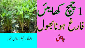 Check spelling or type a new query. Omg Sirf 1 Chamach Khaen Farigh Hona Bhool Jaen Hakeem Muhammad Sarfraz