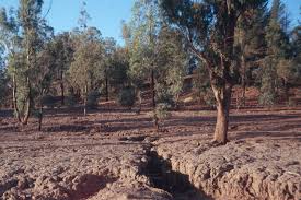 Image result for land degradation
