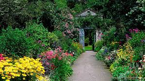 Cottage gardens are made up of a mix of colours, as opposed to a strict colour scheme. Hd Wallpaper Walled Garden Garnish Island West Cork Ireland Flowers Gardens Wallpaper Flare