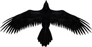 Raven Render By Darkstriiker D60zmwx Png 1024 523 Ideias Para Tatuagens Old School Desenhos Para Tatuagem Tatuagem