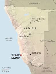 In january 1904, the herero people, who were led by samuel maharero, and the nama people, who were led by captain hendrik witbooi. Germany Confronts The Forgotten Story Of Its Other Genocide Wsj