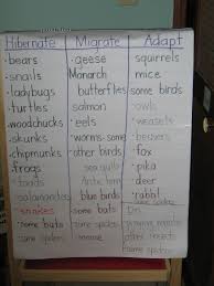 Animals In Winter This Reading Mama Winter Preschool Winter Kindergarten Winter Animals