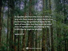 New living translation to all who mourn in israel, he. Isaiah 61 3 Daily Bible Inspirations