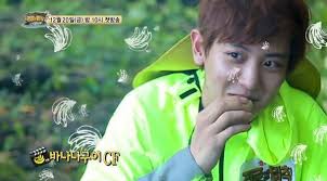 Law of the jungle ep 277 eng sub. Exo Videos Eng Sub Law Of The Jungle Chanyeol Tao