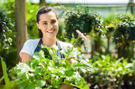 Owners of successful nurseries must also have a working knowledge of plumbing, electricity, equipment, soil types, labor management. Starting A Plant Nursery Business Sidehustle Hq